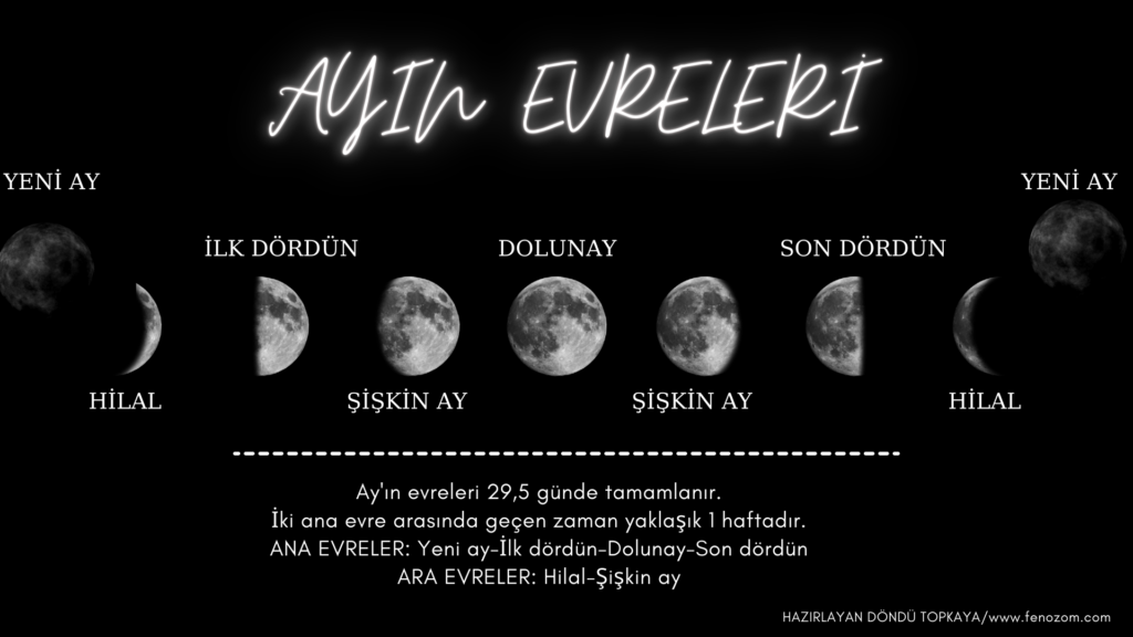 Ayın evreleri 5.sınıf Fen Bilimleri poster